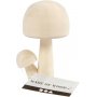 Houten sponzen - B5,5 cm - H8,5 cm
